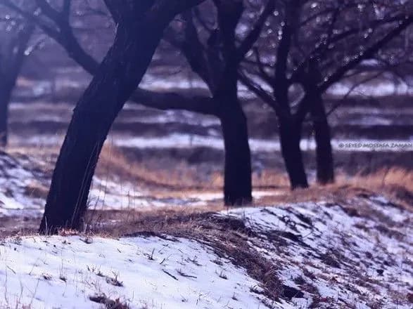 В Україні сьогодні до 7 градусів тепла