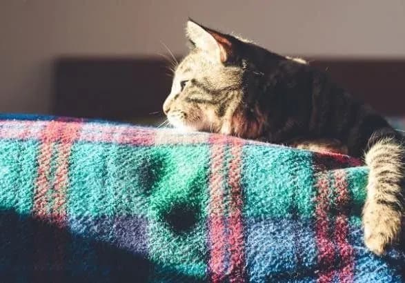 В останній день зими до 11 градусів тепла