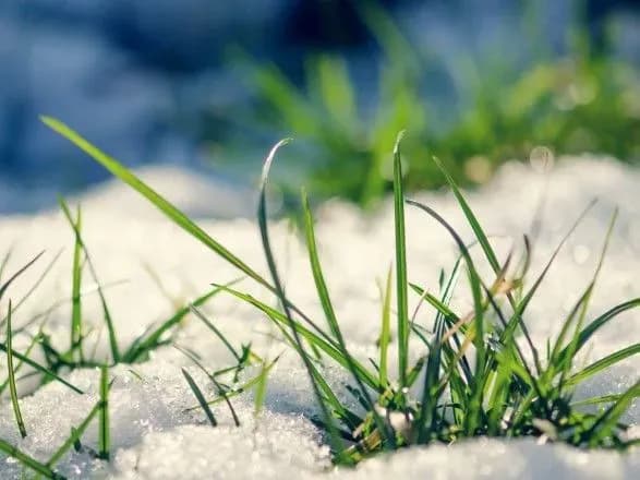 На наступному тижні морози будуть тільки вночі - синоптики