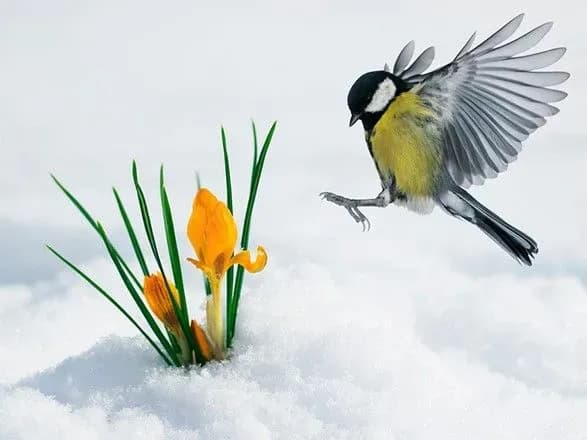 Синоптики дали прогноз погоды на выходные