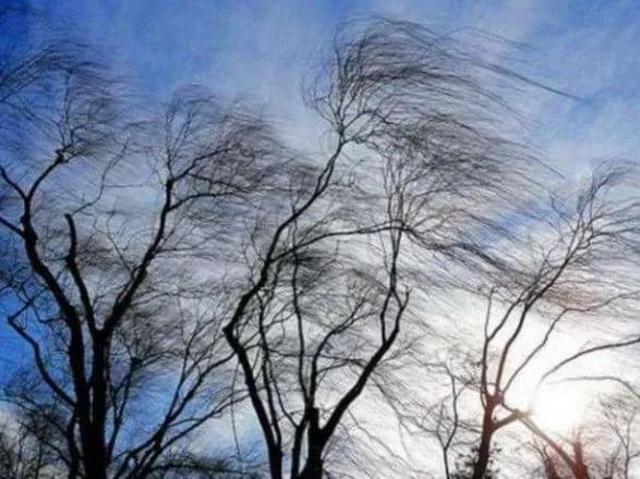 Українців попередили про сильний вітер
