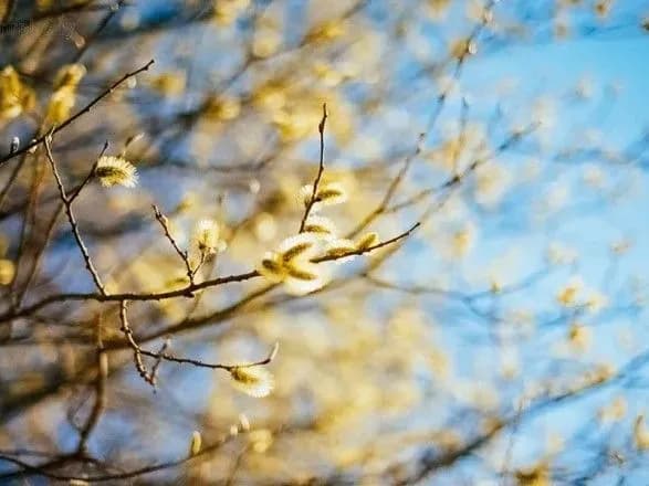 Перша неділя весни буде без опадів, вночі морози