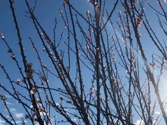 Сьогодні в Україні переважно без опадів