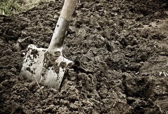 У столиці під час земляних робіт знайшли фрагменти скелета