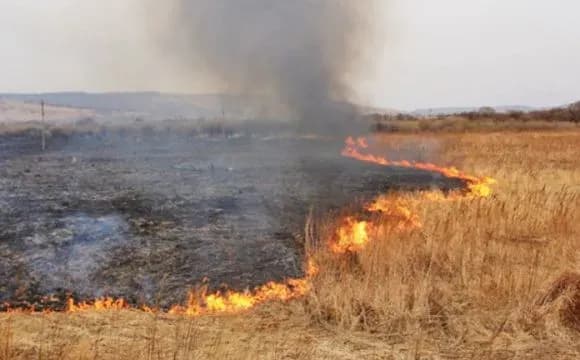 Пенсіонер впав у багаття, коли палив сухе листя