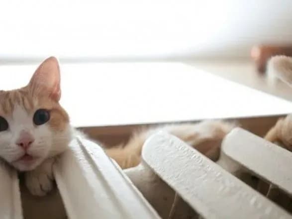 На отопительный сезон 2018-2019 годов правительство выделило 12,5 млрд грн