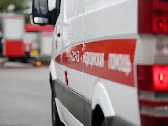 В Геническе нашли убитым фермера, объявленного в розыск после смерти жены