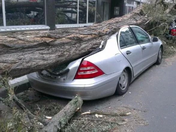 Сьогодні Київ здуватиме вітром