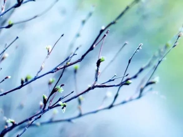 Сьогодні в Україні без істотних опадів