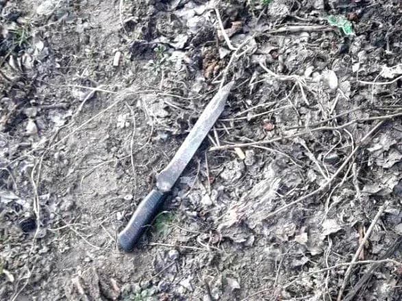 Чоловік побив дружину і напав з ножем на копа