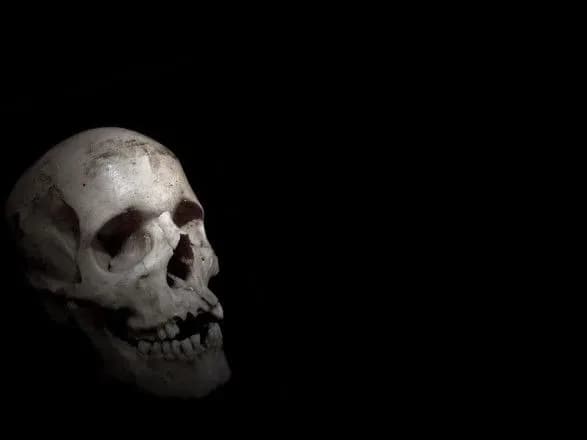 У лісосмузі Одещини знайшли частини чоловічого тіла