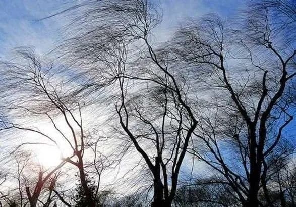 У Львівській області вітер зірвав дах зі школи