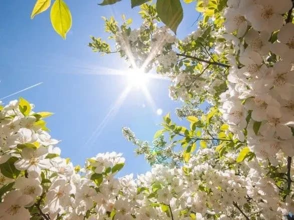 Наступного тижня в Україні до 20 градусів тепла
