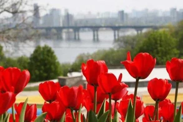 Синоптики дали прогноз погоди на наступний тиждень