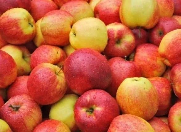 В Україні подорожчають яблука