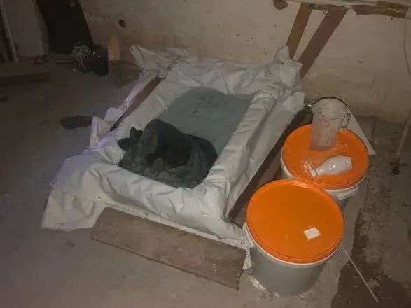 У Києві вилучили партію психотропів на 7 млн гривень