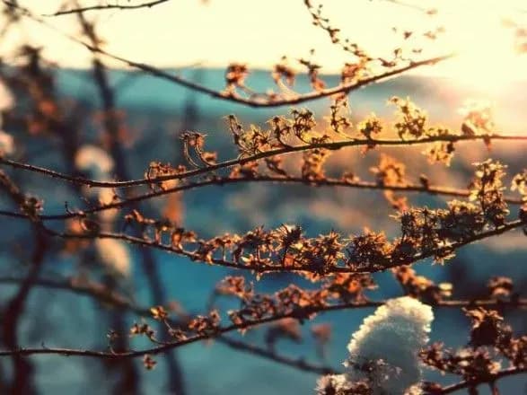У столиці до кінця тижня потепліє до плюс 14