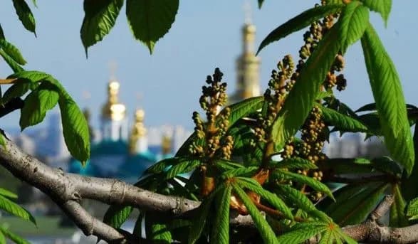 Синоптики дали прогноз погоди на тиждень