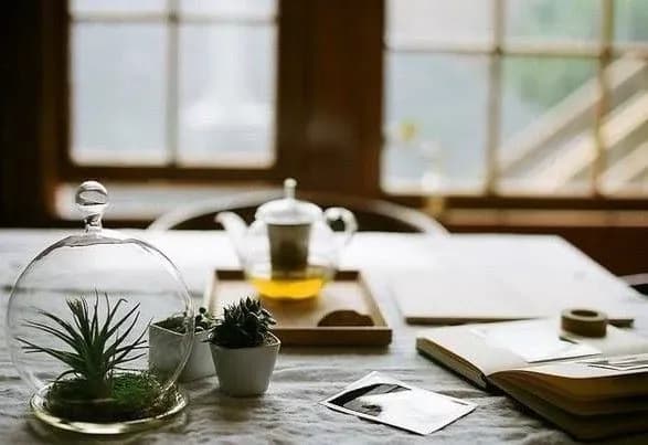 Надвечір у Києві очікується невеликий дощ