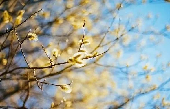 На переважній території України завтра без опадів