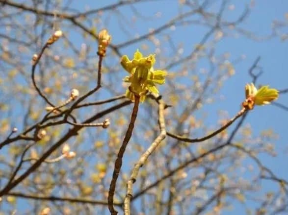 Синоптики дали прогноз погоди на завтра