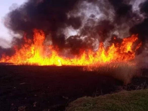 В Николаеве пылает камыш