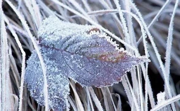 Жителі Київщини ще відчують морози