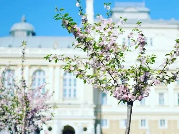 Синоптики дали прогноз погоди на завтра