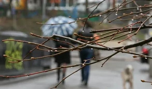 Синоптики дали прогноз погоди на початок тижня