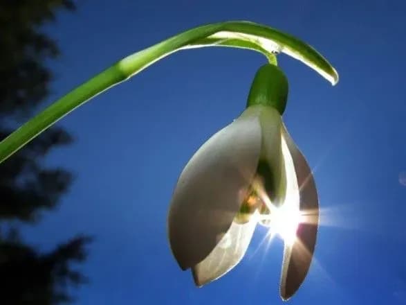 Сьогодні по Україні до 20 градусів тепла