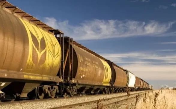 У Мінагрополітики розповіли, як дотуватимуть купівлю зерновозів