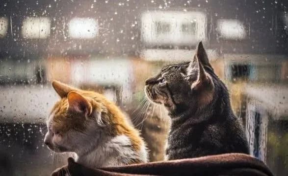 В Україну йде похолодання