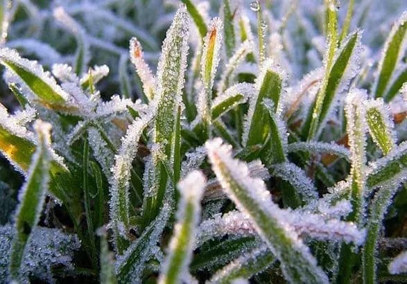 Синоптики дали прогноз погоди на наступний тиждень