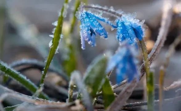 Украинцев предупредили про мокрый снег