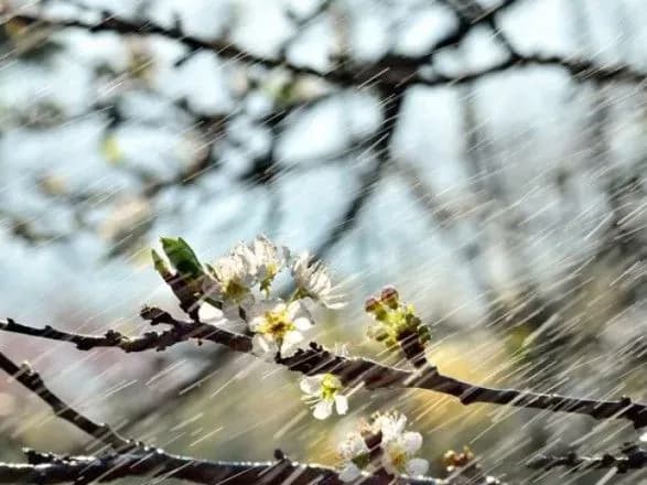 Синоптики дали прогноз погоди на завтра