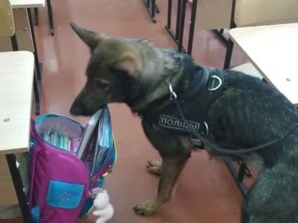 Учень "замінував" школу у Мелітополі: евакуювали 350 осіб