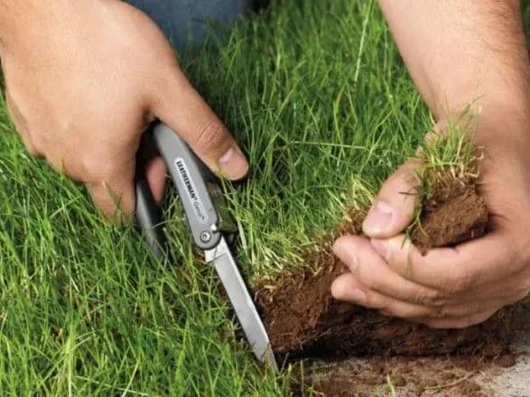 В умовах "тіньового" ринку землі існує сім схем використання держземель - ЗМІ