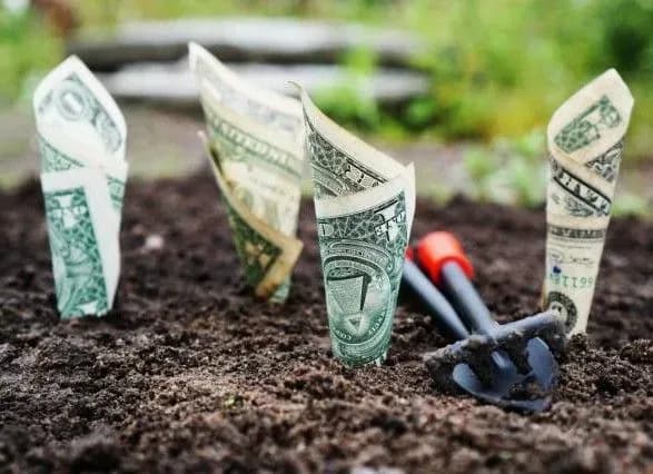 Ринок землі: перспективи та ризики