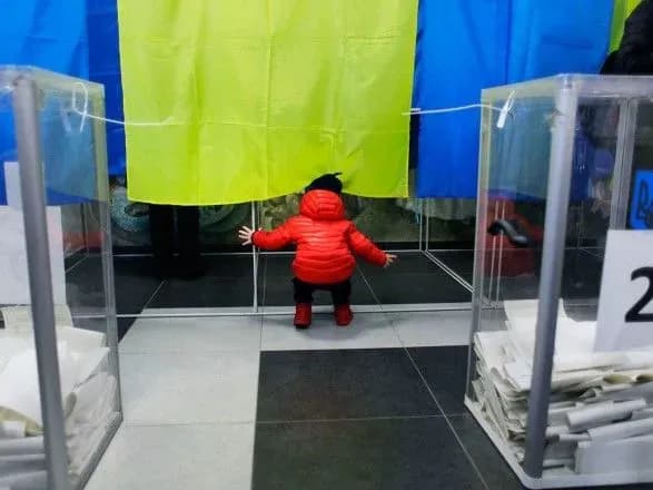 ЦИК обработала более 20% протоколов