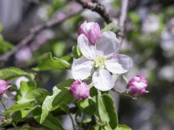 Синоптики дали прогноз погоди на завтра