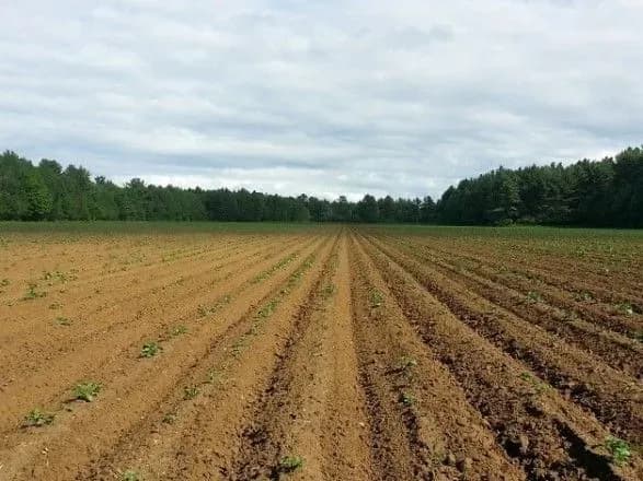 Школі на Тернопільщині повернули землю на понад півмільйона гривень