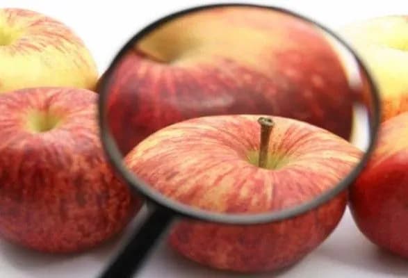 На Запоріжжі за порушення санітарних норм підприємства оштрафували на понад 240 тисяч гривень