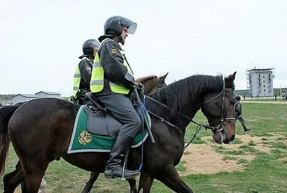 В Нацполіції працює майже 20 службових коней