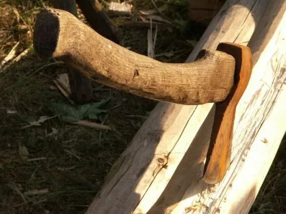 На Полтавщині судитимуть "чорного лісоруба"