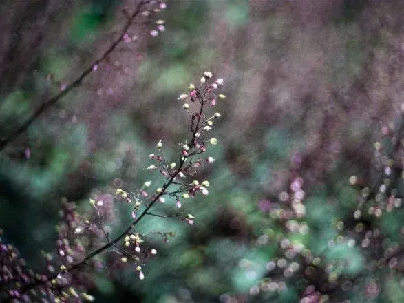 Синоптики дали прогноз на май