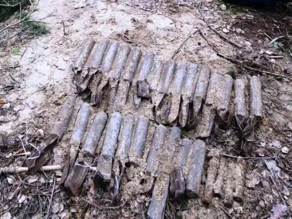 У лісовому масиві знайшли 100-кілограмову фугасну авіабомбу часів Другої світової