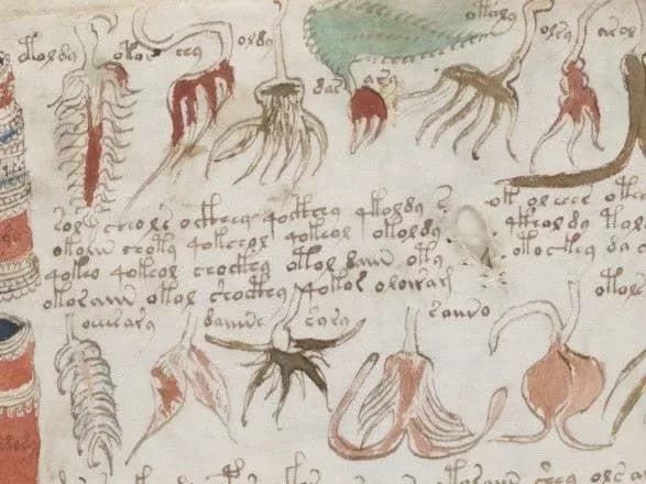 Британський академік розшифрував один з найзагадковіших текстів в світі - манускрипт Войніча