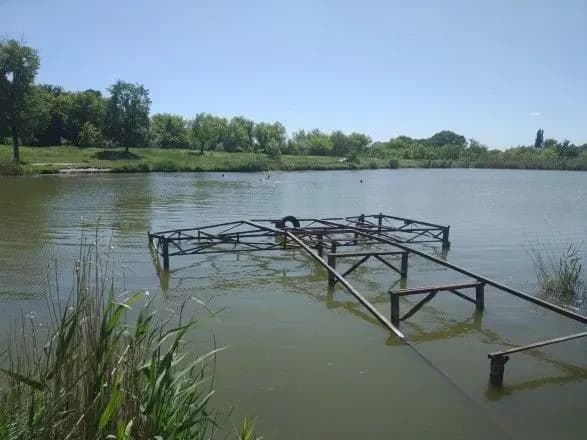 Зі ставку на Донеччині дістали тіло потонулої дівчинки