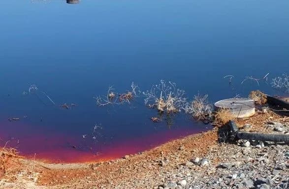 Военные действия на Донбассе угрожают экологической катастрофой всей Европе - Ельченко