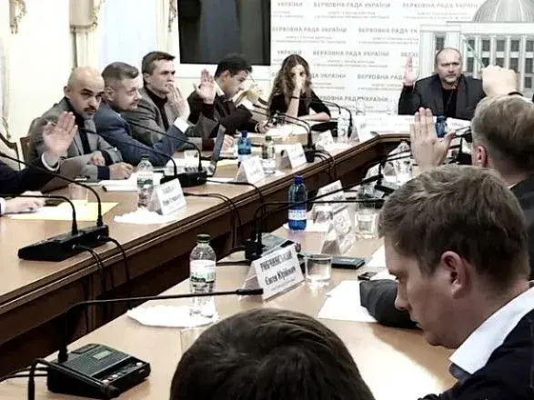 ТСК по Гандзюк планує відзвітувати у Раді до 7 червня